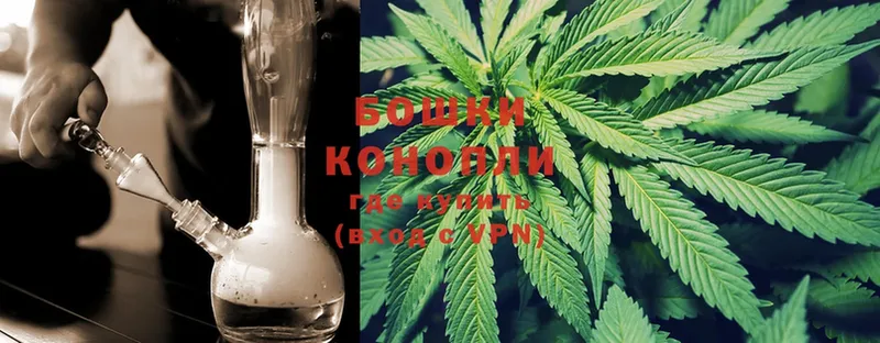 KRAKEN ССЫЛКА  где купить наркоту  Болохово  Конопля White Widow 